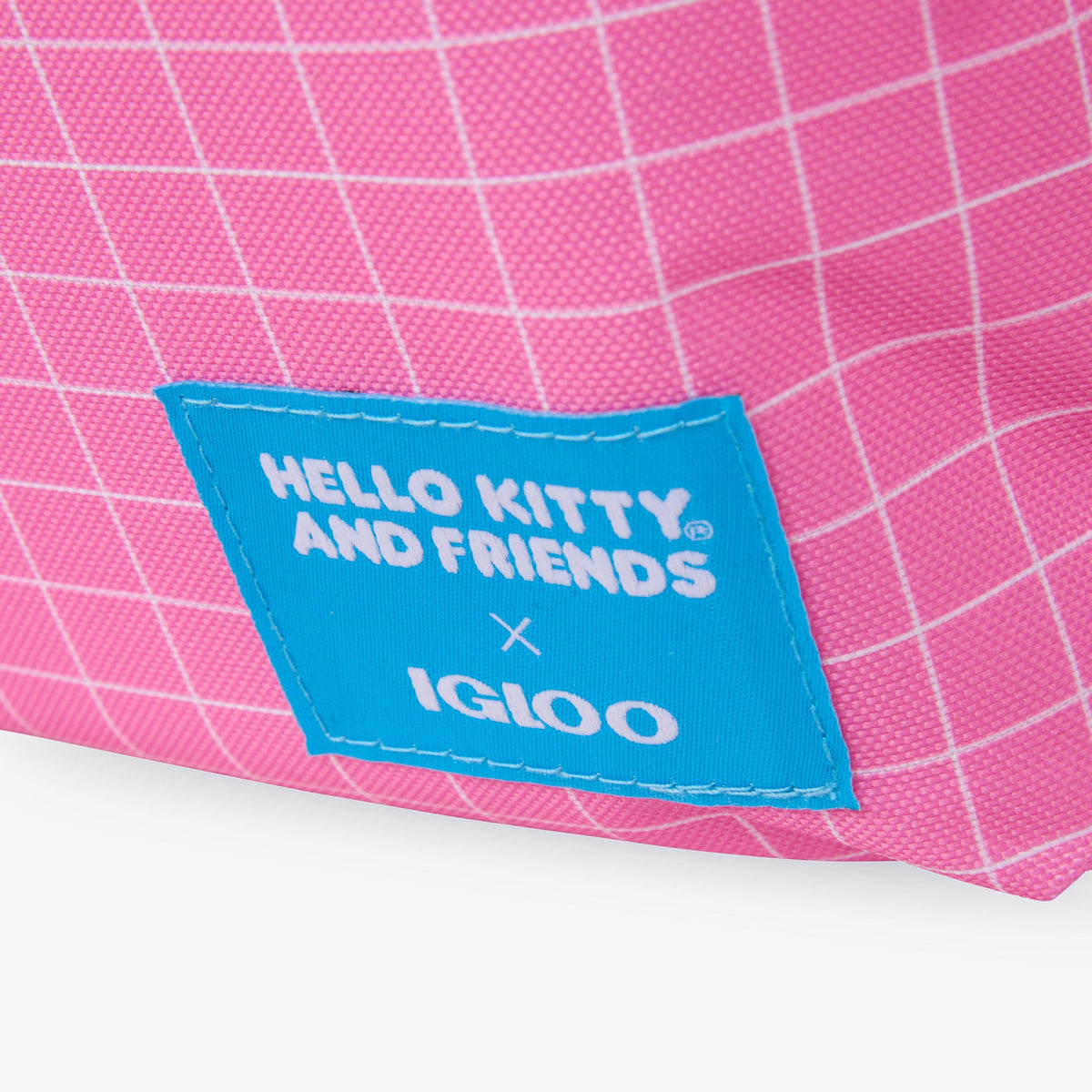 hello-kitty-and-friends-bff-mini-convertible-backpack-cooler-p3 00027591-L.jpg