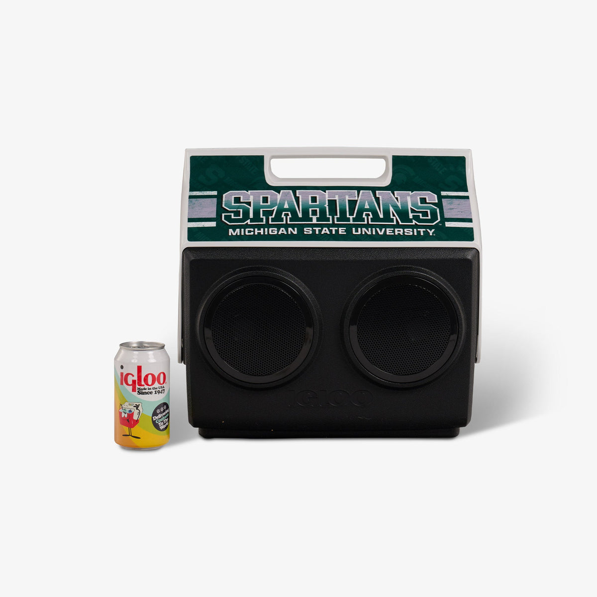michigan-state-university-kooltunes-z8 00027730-P.jpg