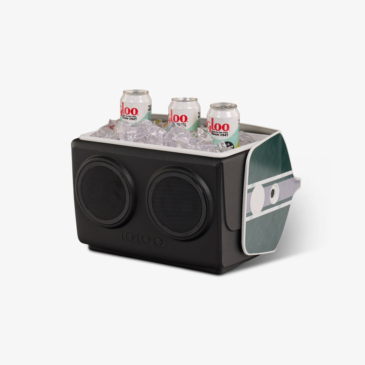 michigan-state-university-kooltunes-z8 00027730-P1.jpg