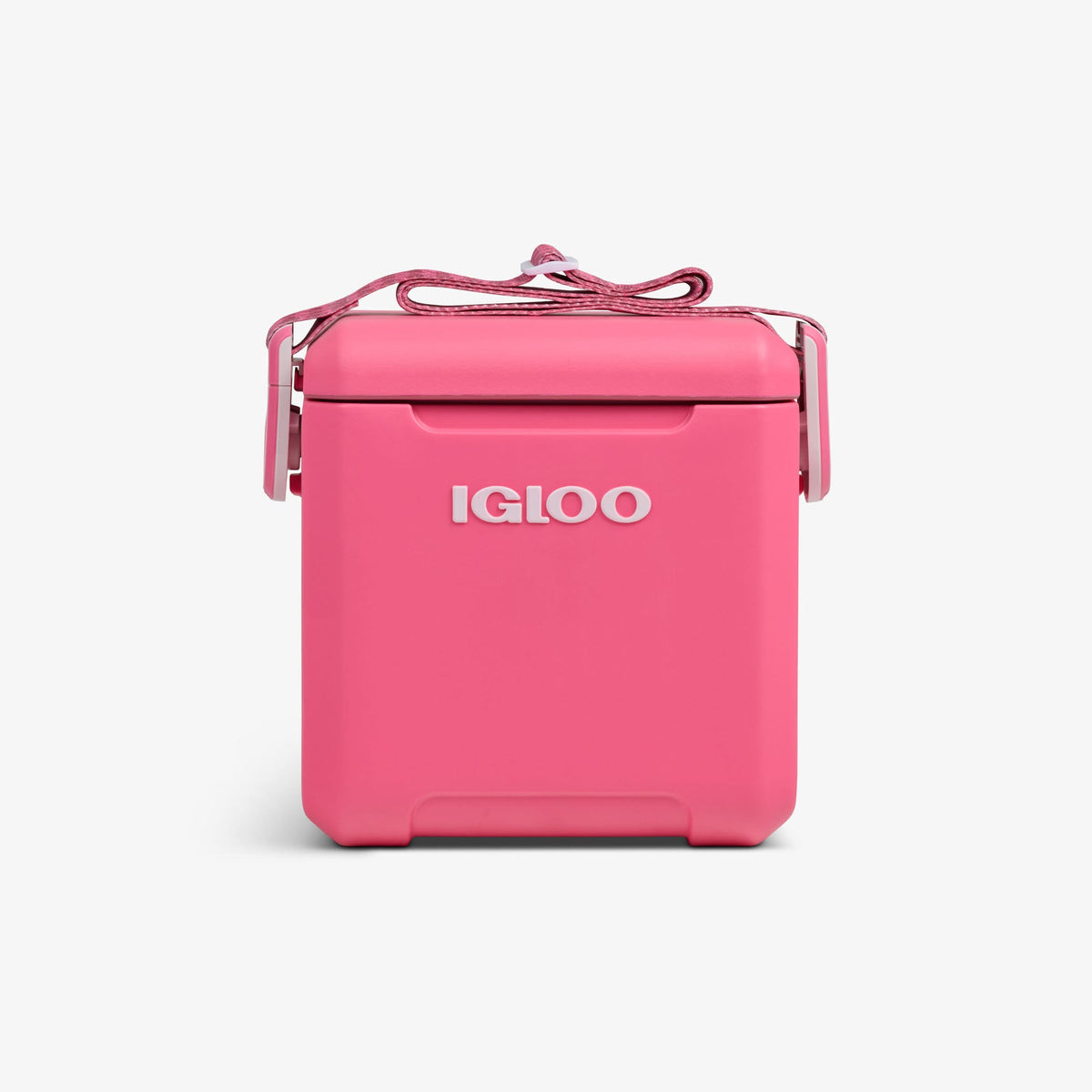 tag-along-too-remix-cooler-c5 00033199-F_b52932ea-89da-4d5d-89b7-a037712c2f16.jpg