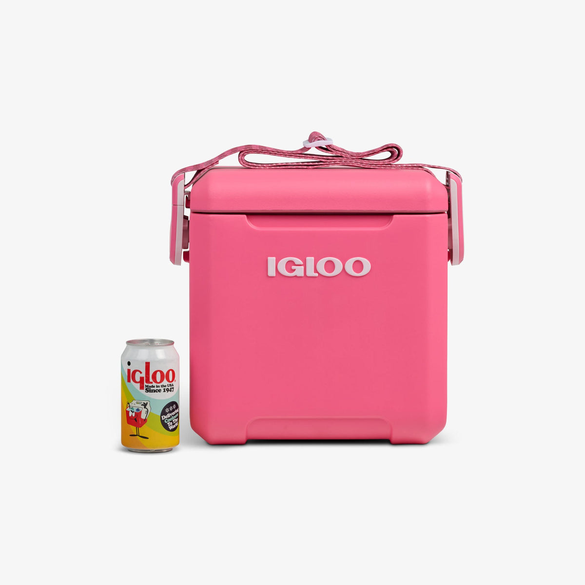 tag-along-too-remix-cooler-c5 00033199-P_861a5cd2-f15c-4217-a471-e33cc3890d9e.jpg