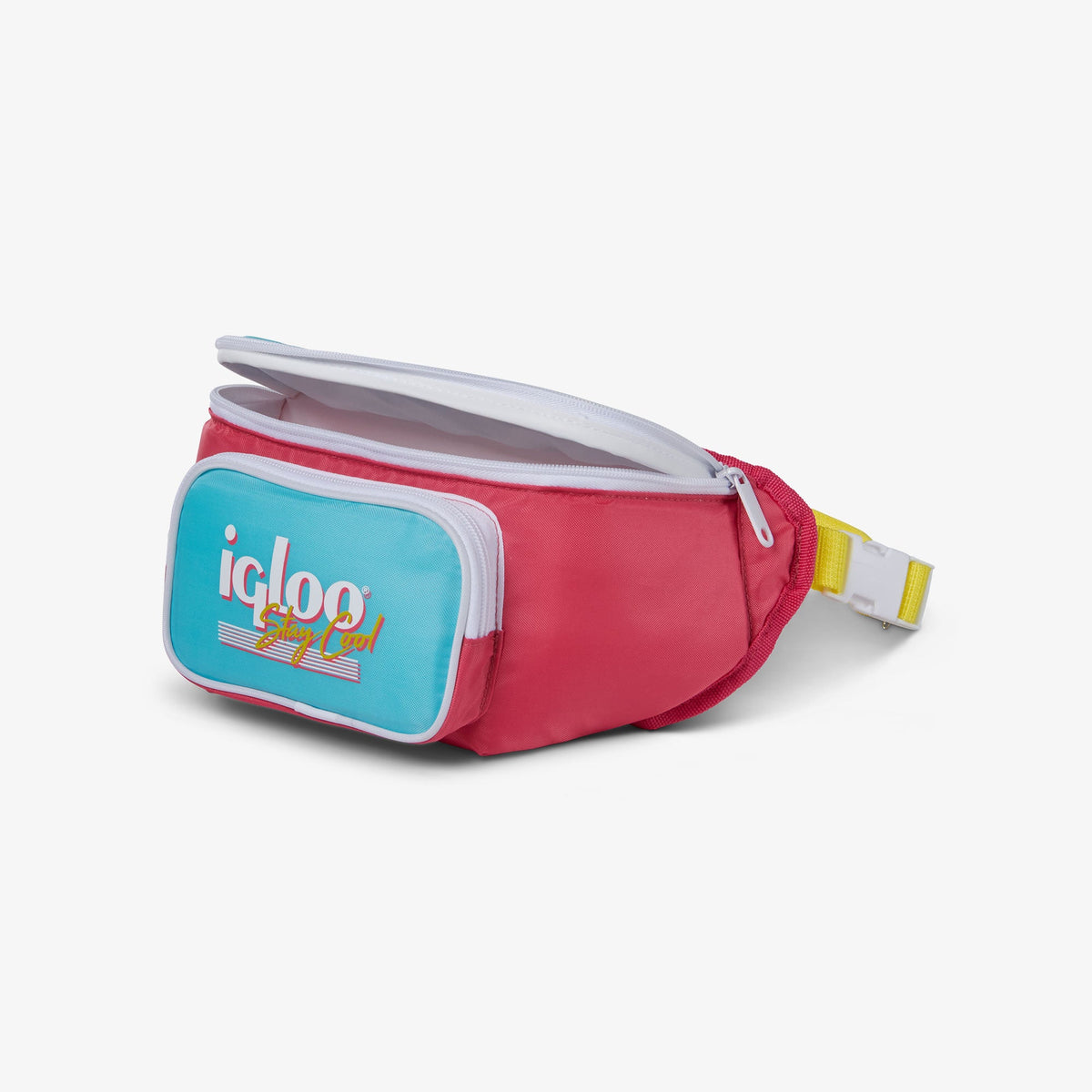 retro-fanny-pack-p5 00066058-O1.jpg