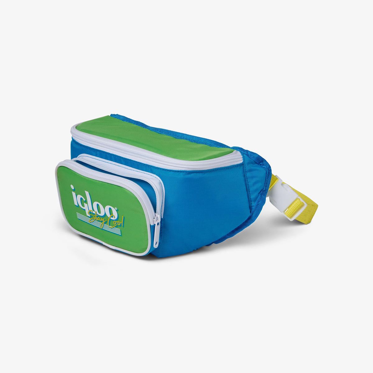 retro-fanny-pack-p5 00066059-O1.jpg