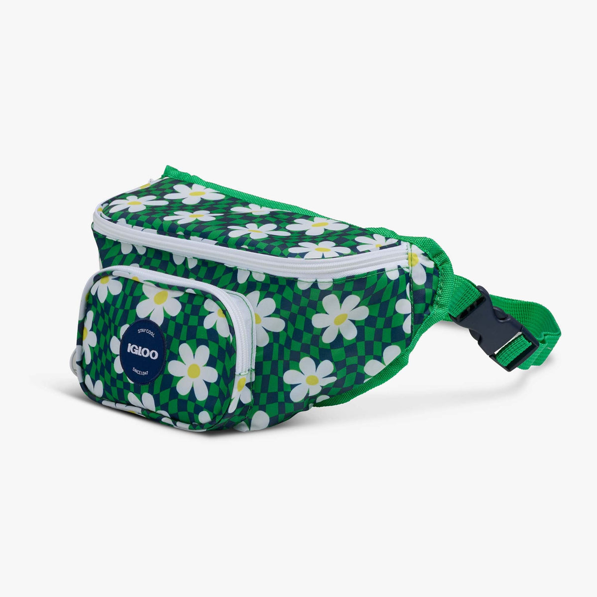 retro-fanny-pack-p5 00067206-H1.jpg