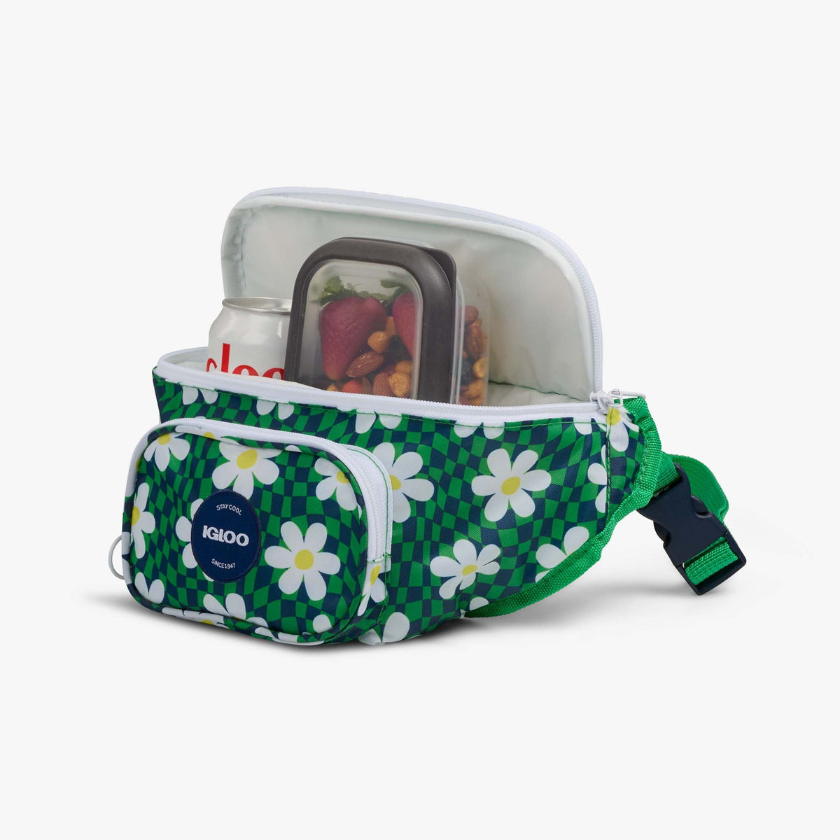 retro-fanny-pack-p5 00067206-P1.jpg